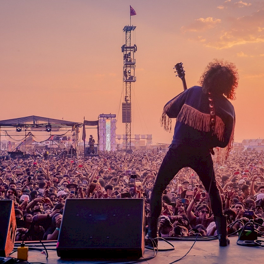 Illustration WOLFMOTHER
